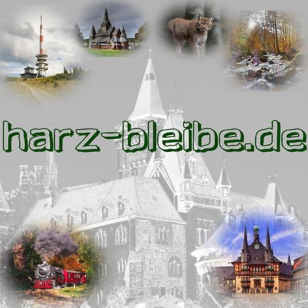 Harz-Bleibe Wernigerode Apartment Bagian luar foto