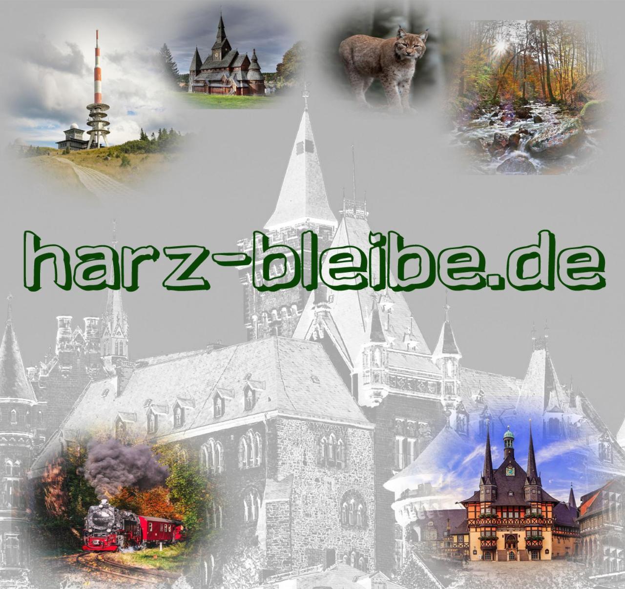 Harz-Bleibe Wernigerode Apartment Bagian luar foto